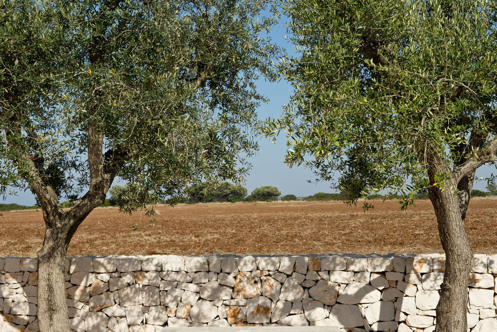 Grand Hotel Masseria Santa Lucia Ostuni Ngoại thất bức ảnh